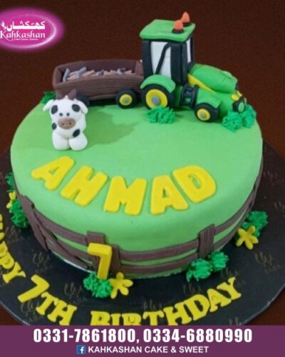 Birthday Boy Cake